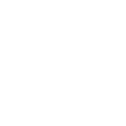 icon for lobbying