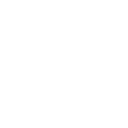 icon for research